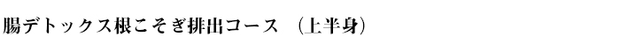 腸デトックス根こそぎ排出コース （上半身）