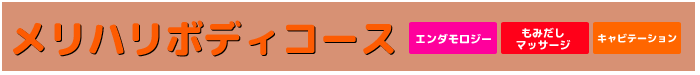 メリハリボディコースメリハリボディコース