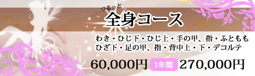 全身コース