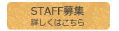 STAFF募集