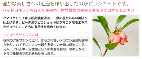 確かな美しさへの近道を作り出したのがピコショットです。