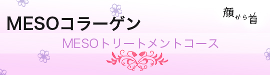 MESO コラーゲン 価格表